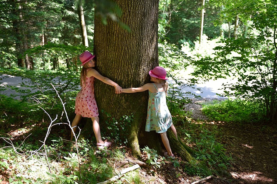 personal, human, children, nature, hug, tree, two people, plant HD wallpaper