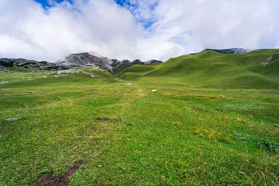 green, grass, lawn, summit, highland, blue, sky, cloud, nature HD wallpaper