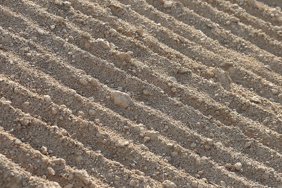 earth, soil, ground, dry, texture, agriculture, agricultural HD wallpaper