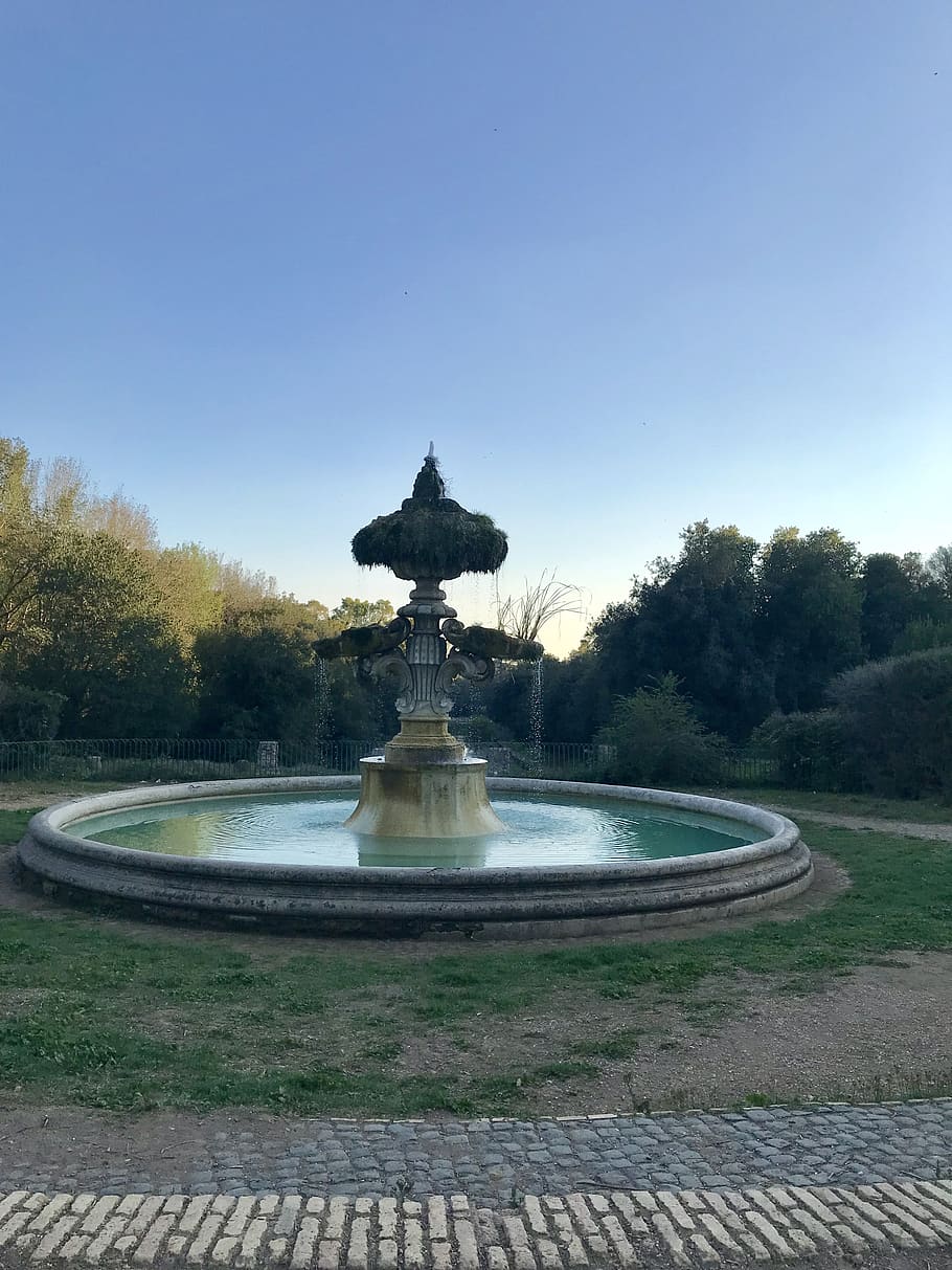 italy, rome, plant, tree, fountain, sky, nature, clear sky HD wallpaper