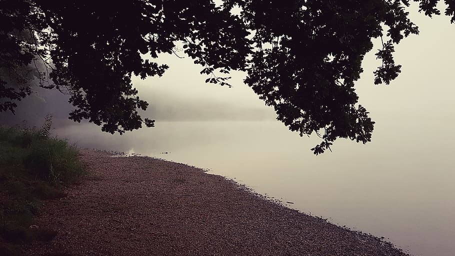 fog, lake, water, tree, bank, autumn, atmospheric, mirroring HD wallpaper