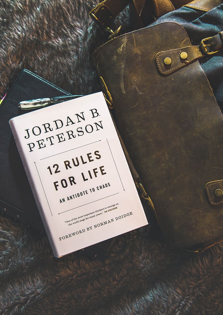 12 Rules for Life by Jordan B. Peterson Book Brown Textile, adult