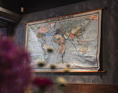 diagram, map, plot, atlas, art, painting, plant, flower, blossom HD wallpaper