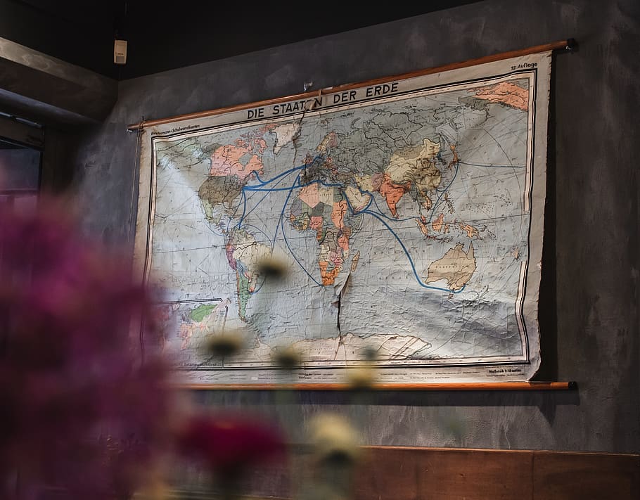 diagram, map, plot, atlas, art, painting, plant, flower, blossom HD wallpaper