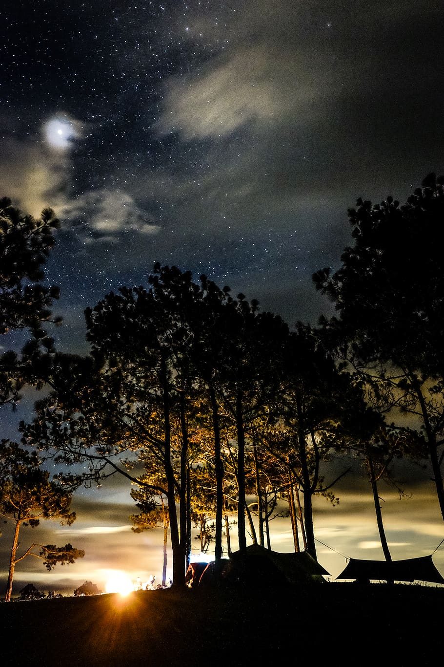 Silhouette Photo of Trees, backlit, camp, camping, canvas, dark HD wallpaper