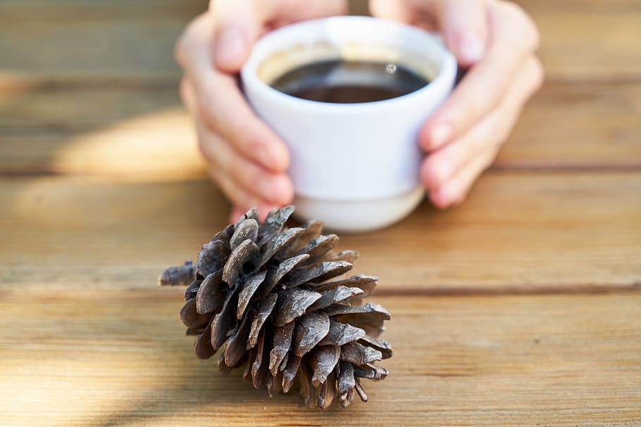 coffee, cup, porcelain, caffeine, hands, aroma, cappuccino HD wallpaper