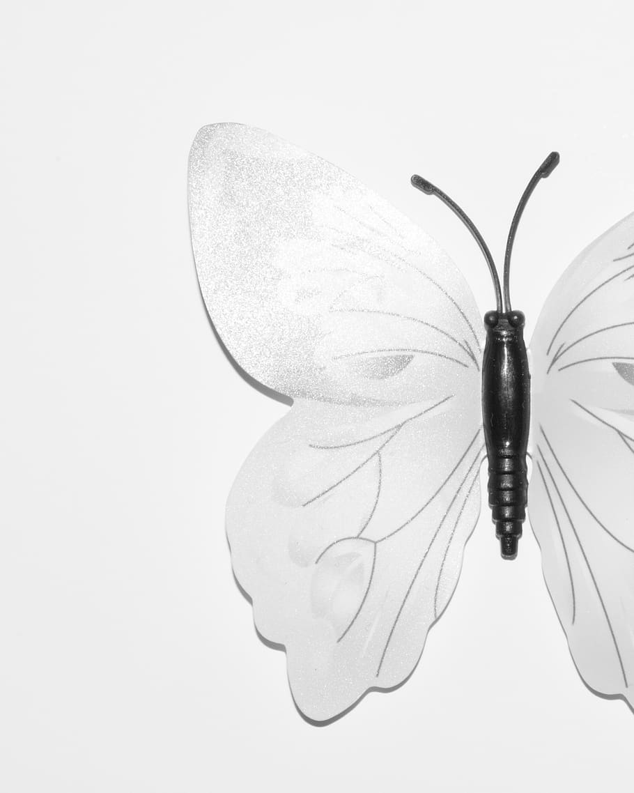 butterfly, plastic, artificial, white background, studio shot HD wallpaper