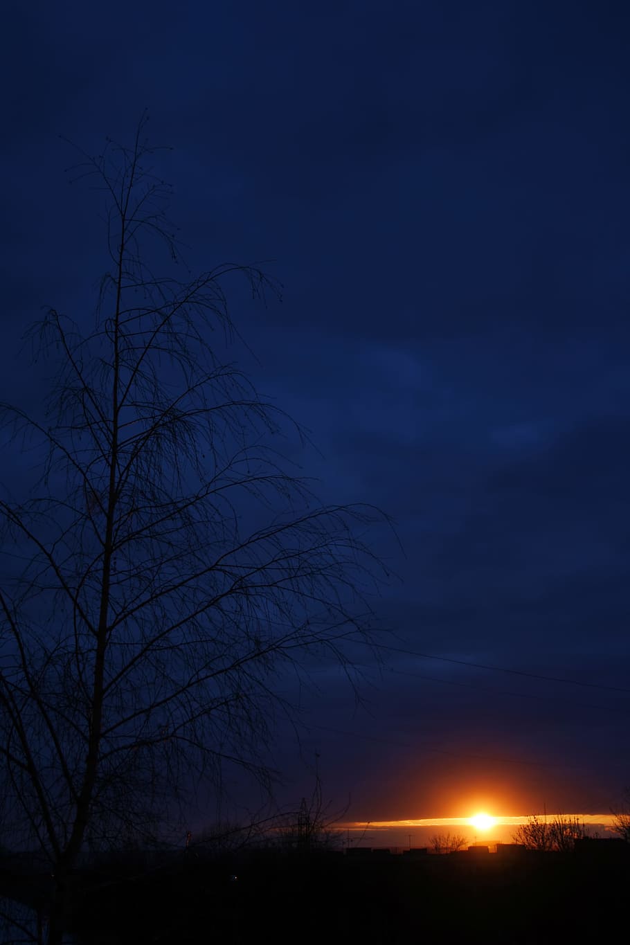 sun, sunset, sky, blue, night, dusk, landscape, nature, tree HD wallpaper