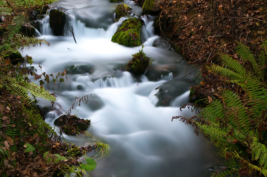waterfall, river, long exposure, plant, beauty in nature, motion HD wallpaper