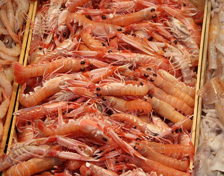 shrimp, fish, crab, food, fresh, kitchen, delicious, healthy, HD wallpaper