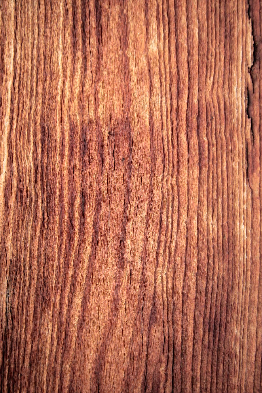serbia, mala ivanča, wood, wooden, wooden door, wooden table, HD wallpaper