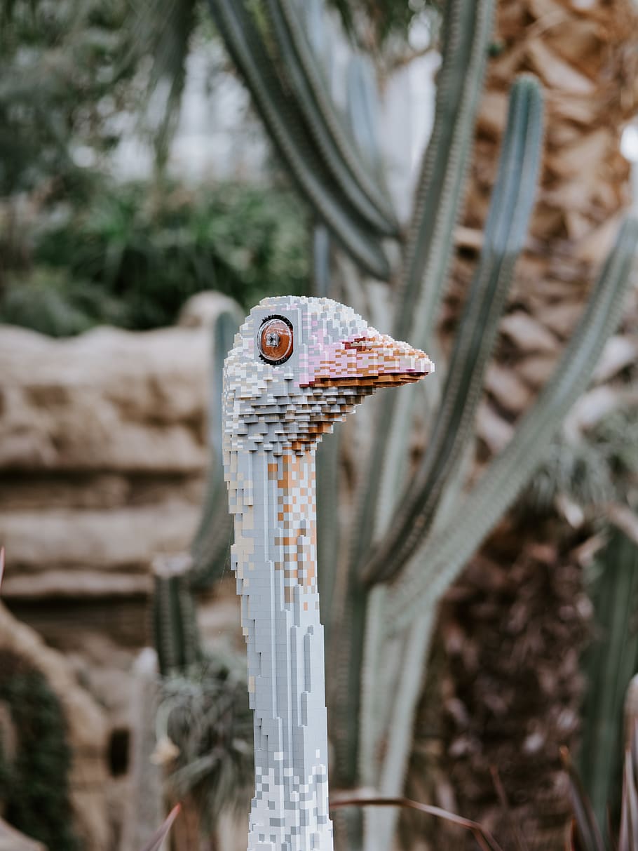 animal statue, plant, beak, bird, vulture, condor, pez dispenser HD wallpaper