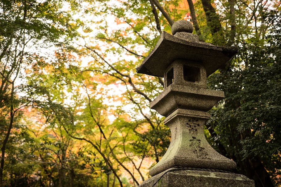 japan, temple, trees, plant, religion, belief, spirituality HD wallpaper