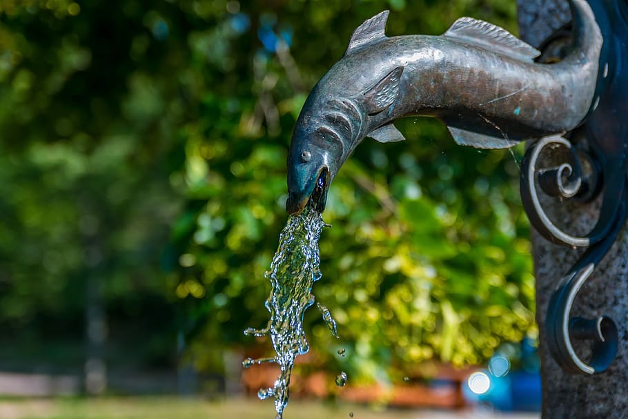 brunne, water, live, refreshment, water fountain, water feature HD wallpaper