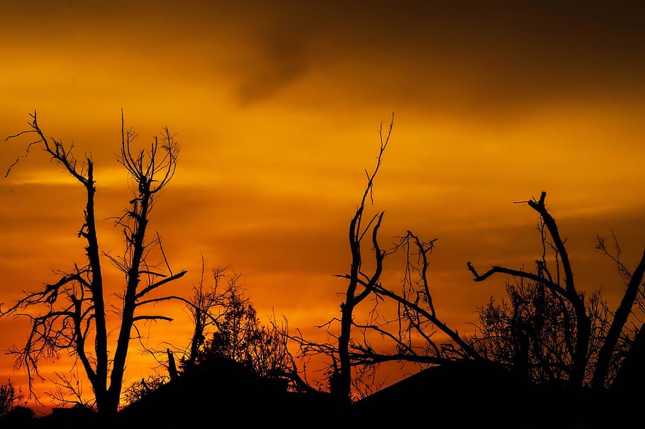 set, sunset, nature, eve, evening, dark, silhouette, sky, orange color HD wallpaper