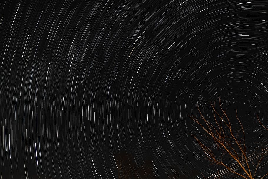 bear tree and starry sky, nature, outdoors, outer space, universe HD wallpaper