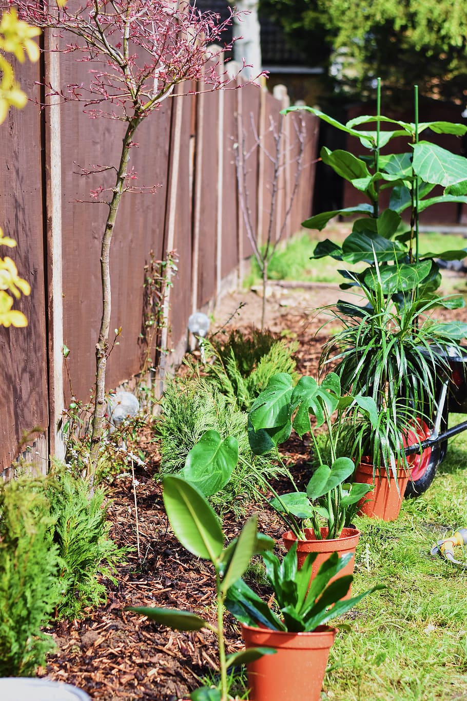 green potted plants, pottery, jar, vase, planter, nature, outdoors HD wallpaper