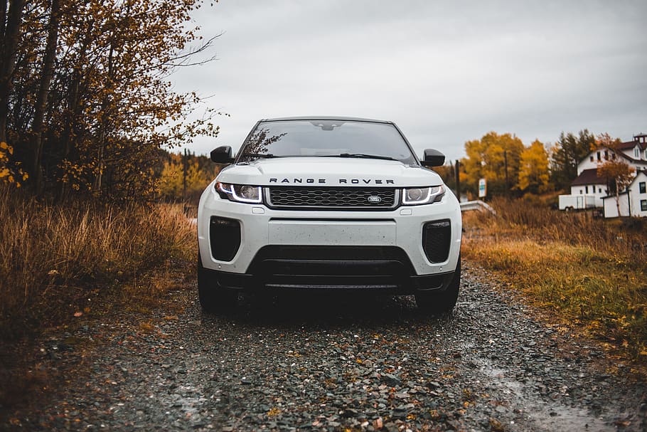 white Range Rover, coffee cove, canada, transportation, car, automobile HD wallpaper