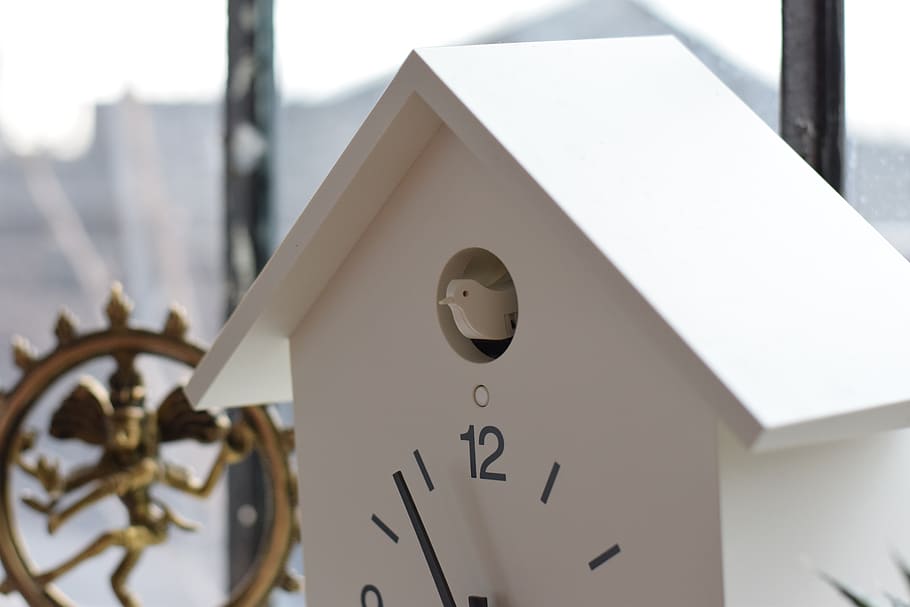 clock, analog clock, bird clock, white, you x ventures, time HD wallpaper