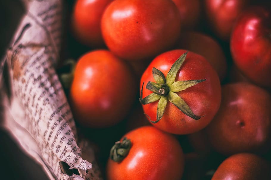 Bunch of Red Tomatoes, cherry tomatoes, close-up, delicious, farming HD wallpaper