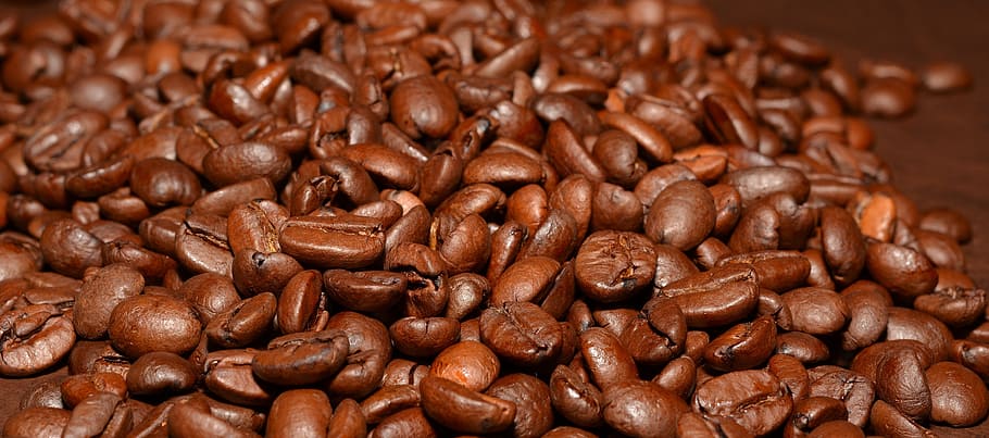 coffee, beans, seed, brown, nature, food and drink, coffee - drink HD wallpaper