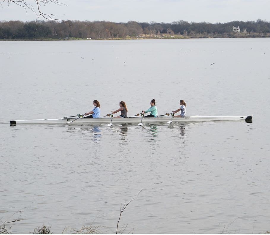 row, rowing, activity, boat, river, water, thrill, nautical vessel HD wallpaper