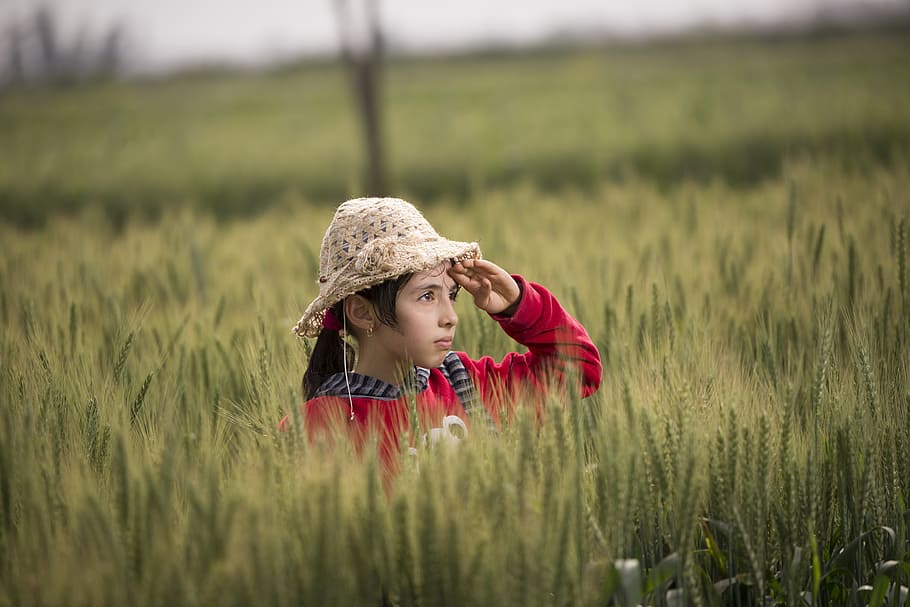 Girl in Red Hoodie Wearing Beige Sunhat, agriculture, child, countryside, HD wallpaper