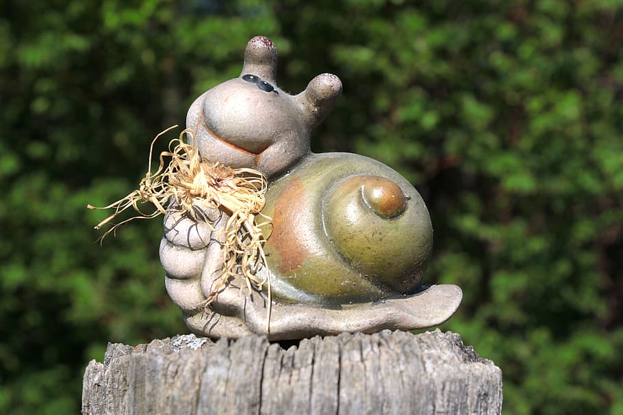 snail, dreamy, casing, landscape, nature, animal, beautiful HD wallpaper
