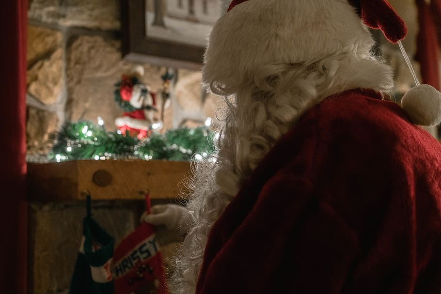Santa Claus, apparel, clothing, mammal, dog, animal, canine, pet HD wallpaper