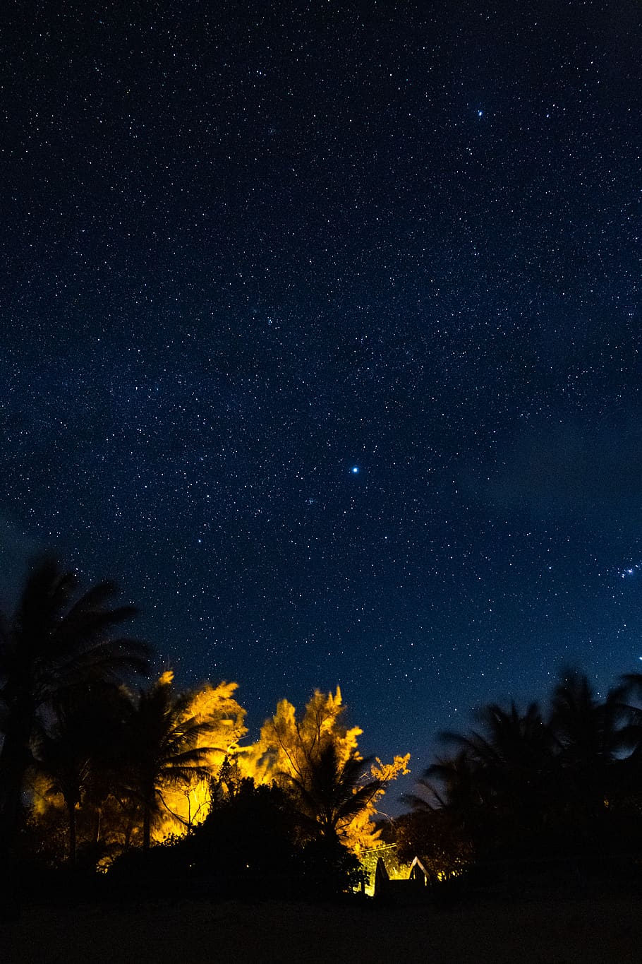 trees during night, star - space, astronomy, sky, beauty in nature HD wallpaper