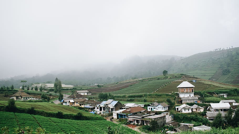 village during daytime, nature, outdoors, countryside, rural HD wallpaper