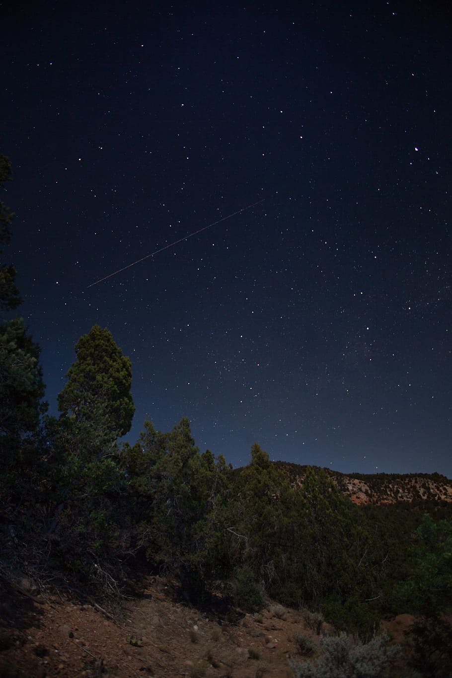 green trees on hill under starry sky, forest, woodland, cliff HD wallpaper
