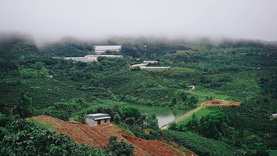 vietnam, dalat, tree, plant, architecture, building exterior HD wallpaper