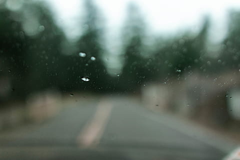 windshield, road, tree, fog, trees, water, forest, rain, nature HD wallpaper