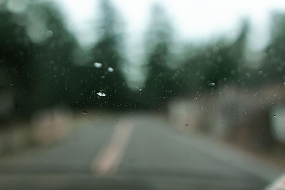 windshield, road, tree, fog, trees, water, forest, rain, nature HD wallpaper