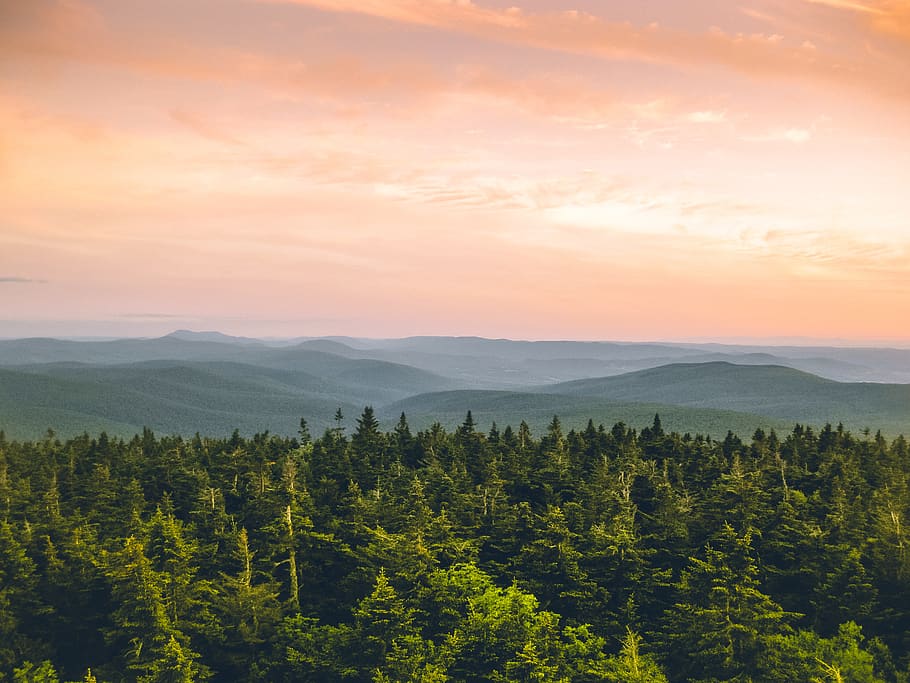 green trees, plant, conifer, flora, mountain range, outdoors HD wallpaper