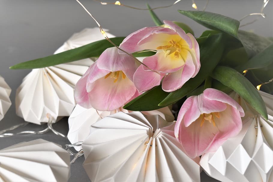 decoration, table decorations, candle, flowers, floral decorations HD wallpaper