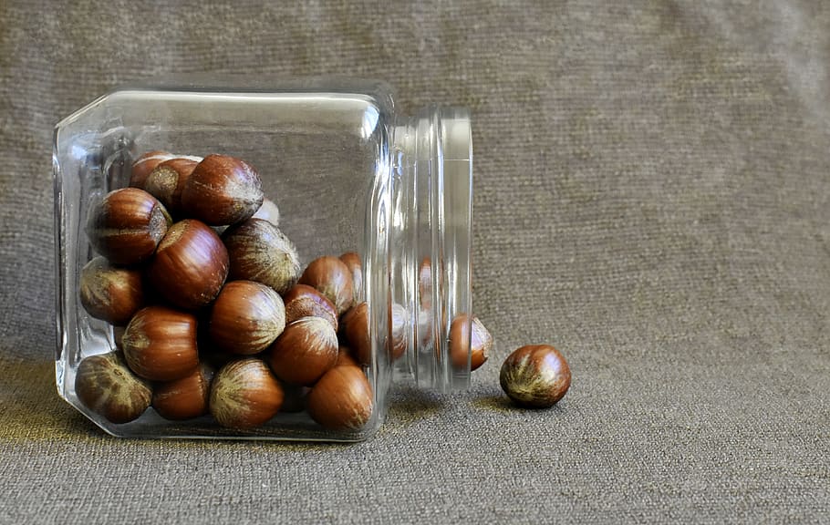 hazelnuts, brown nuts, nutrition, snack, natural, dieting, weight loss HD wallpaper