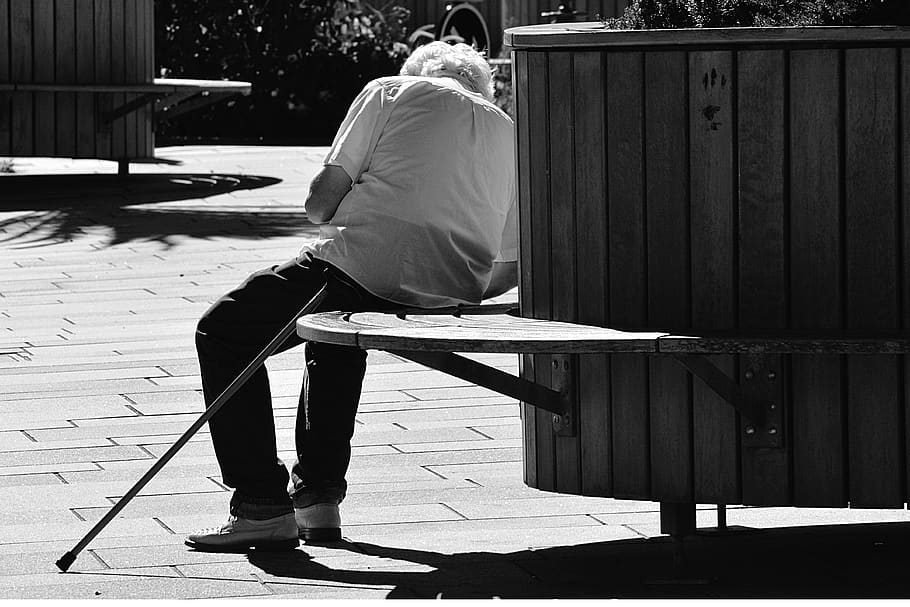 people, man, old, setting, bench, chair, garden, park, plants HD wallpaper