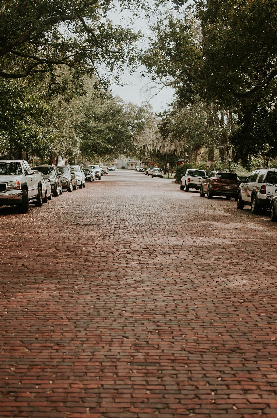 HD wallpaper: savannah, united states, brick, stone, street, georgia