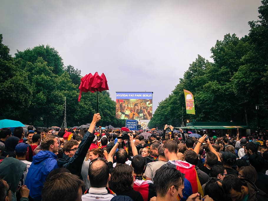 people, crowded, fans, projector screen, cheering, spectators HD wallpaper