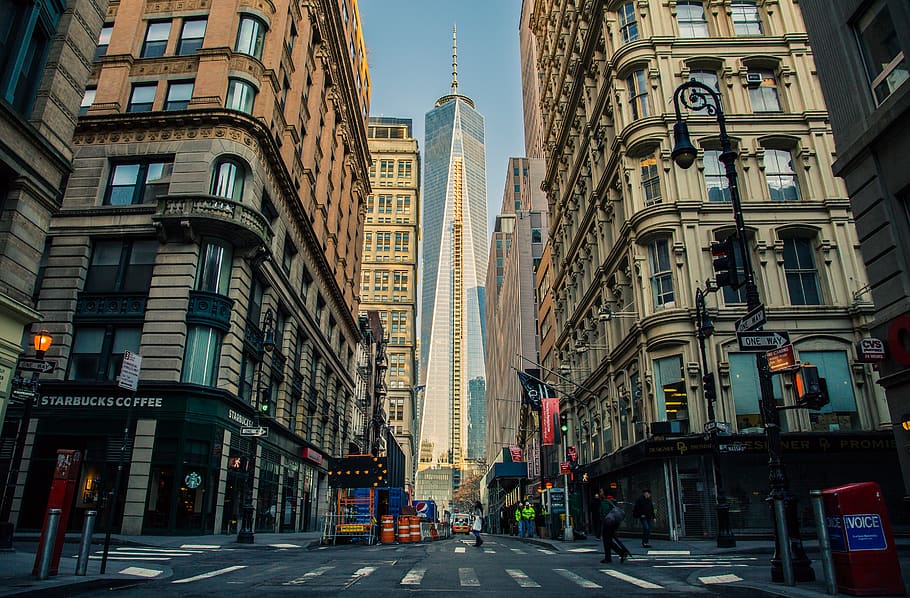 Glass Walled Building Low Angle Photography, 1 WTC, america, architecture