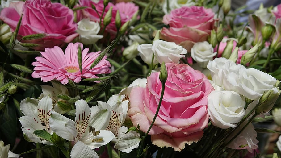 bouquet, wedding, roses, flower, flowering plant, petal, freshness HD wallpaper