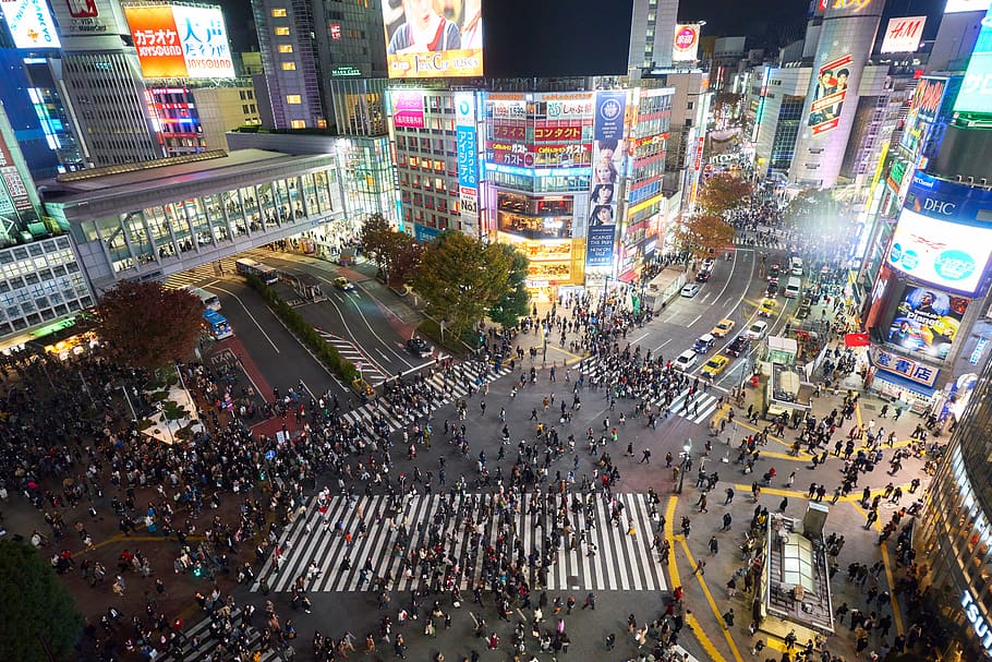 Tokyo Japan Streets, pedestrian, human, person, urban, city, intersection