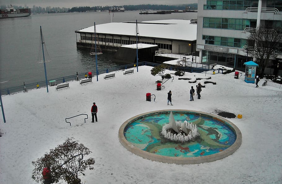 canada, vancouver, cold temperature, winter, snow, water, nature HD wallpaper