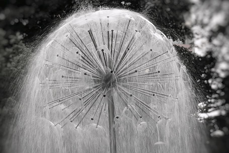 fountain, park, water, day, close-up, nature, no people, tree HD wallpaper