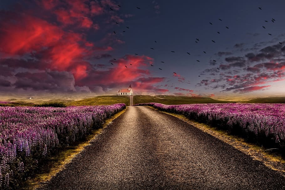landscape, road, sky, clouds, field, flowers, 4k wallpaper HD wallpaper