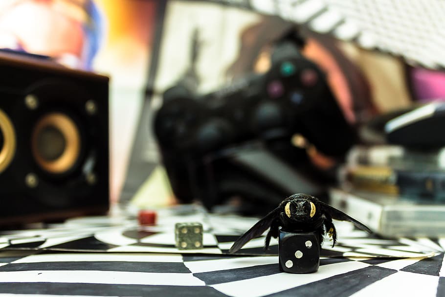 Selective Focus Photography of Black Die, audio, blur, books, HD wallpaper