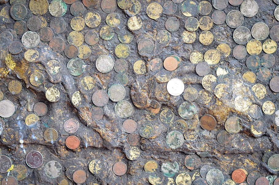 Set of coins embedded in mud and dirt., money, finance, business