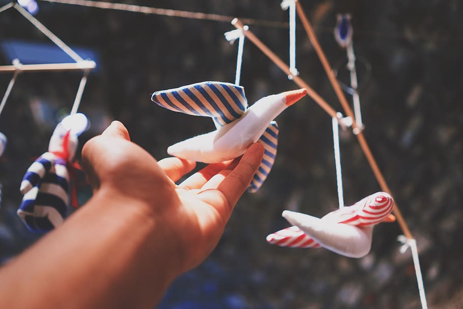 blur, hand, bird, toy, puppet, hang, cord, human hand, human body part HD wallpaper